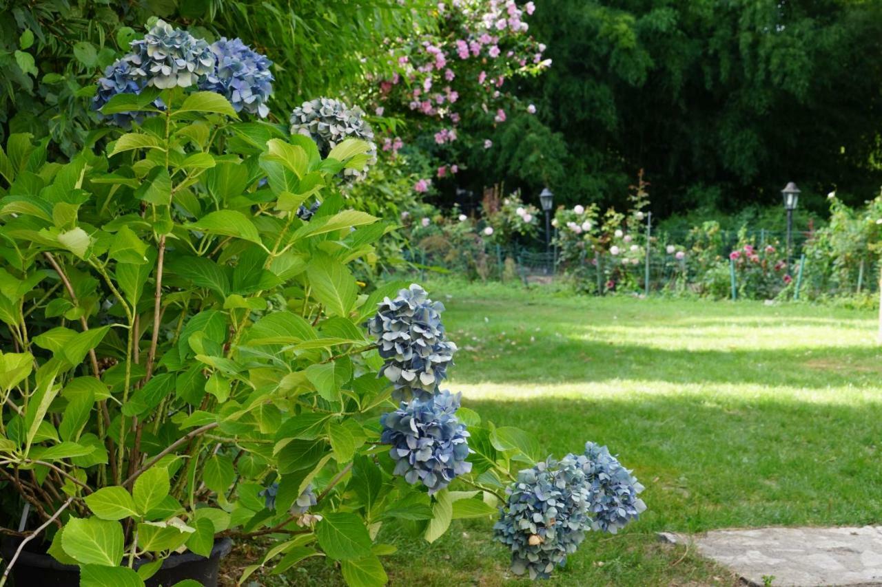 Bed and Breakfast Le Moulin De La Planche Cerelles Esterno foto