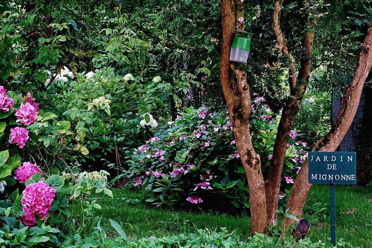 Bed and Breakfast Le Moulin De La Planche Cerelles Esterno foto